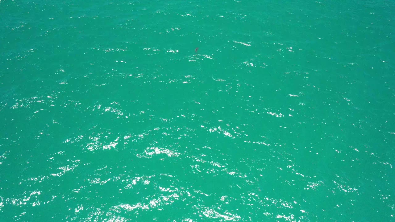 Aerial frame of blue-green sea water in San Jose Del Cabo, Mexico, with stronger white glints across the small surface waves and no visible people.