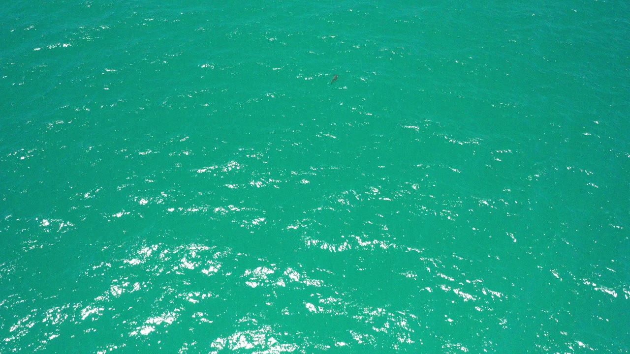 Green-turquoise ocean surface with sun glints