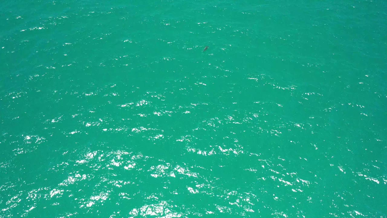 A full-frame view of rippled green sea in San Jose del Cabo shows stronger sun sparkle across the upper water, with no visible people.