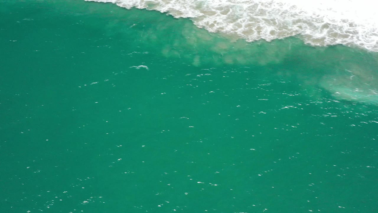 Open green ocean below a thin strip of foamy surf.