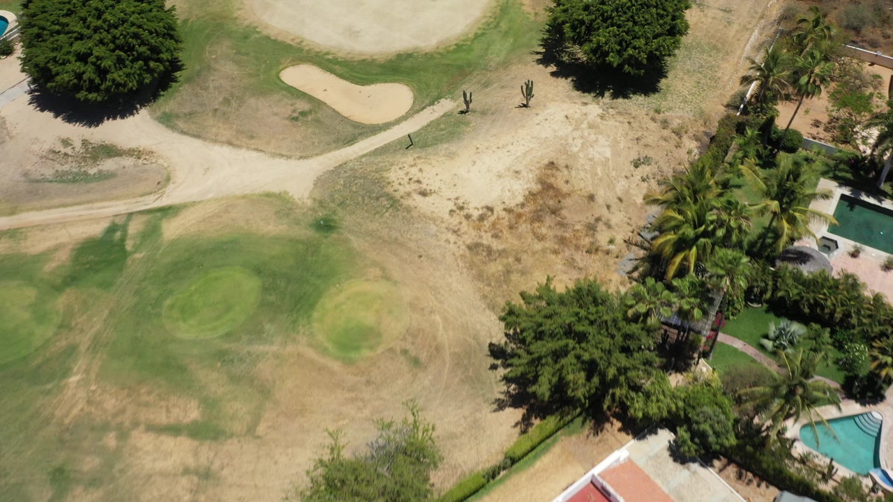Top-down aerial frame in San Jose del Cabo shows patchy green and brown grass, a pale sand trap, large trees, palms, and a partial pool edge, with no visible people.