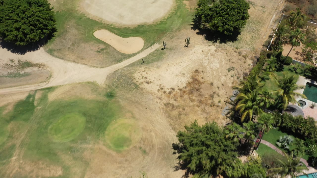 Top-down golf-course view with sand trap, dry grass, palms, trees, and property edge.