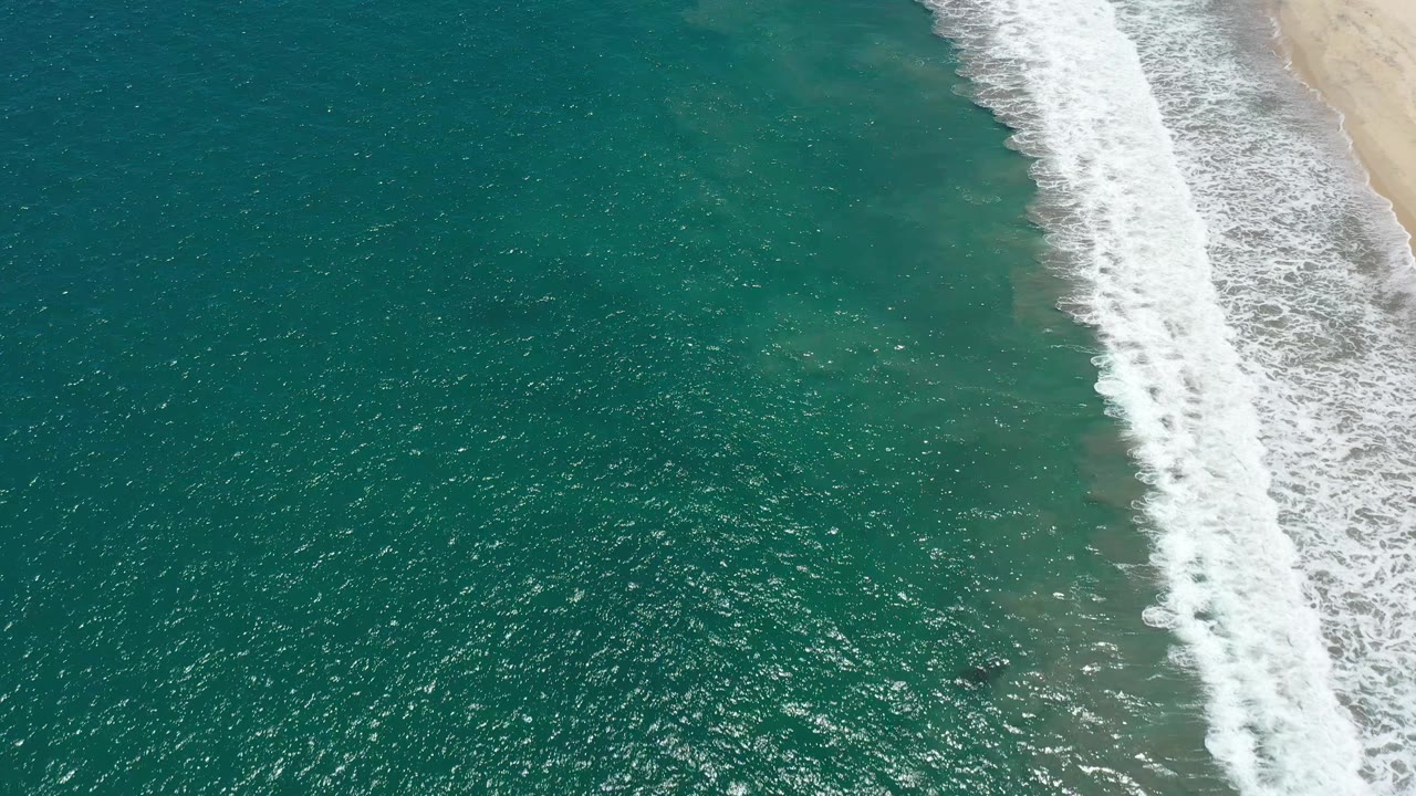 Aerial frame of San Jose Del Cabo shoreline where a white wave line cuts down the right side beside teal ocean water, with no visible people.