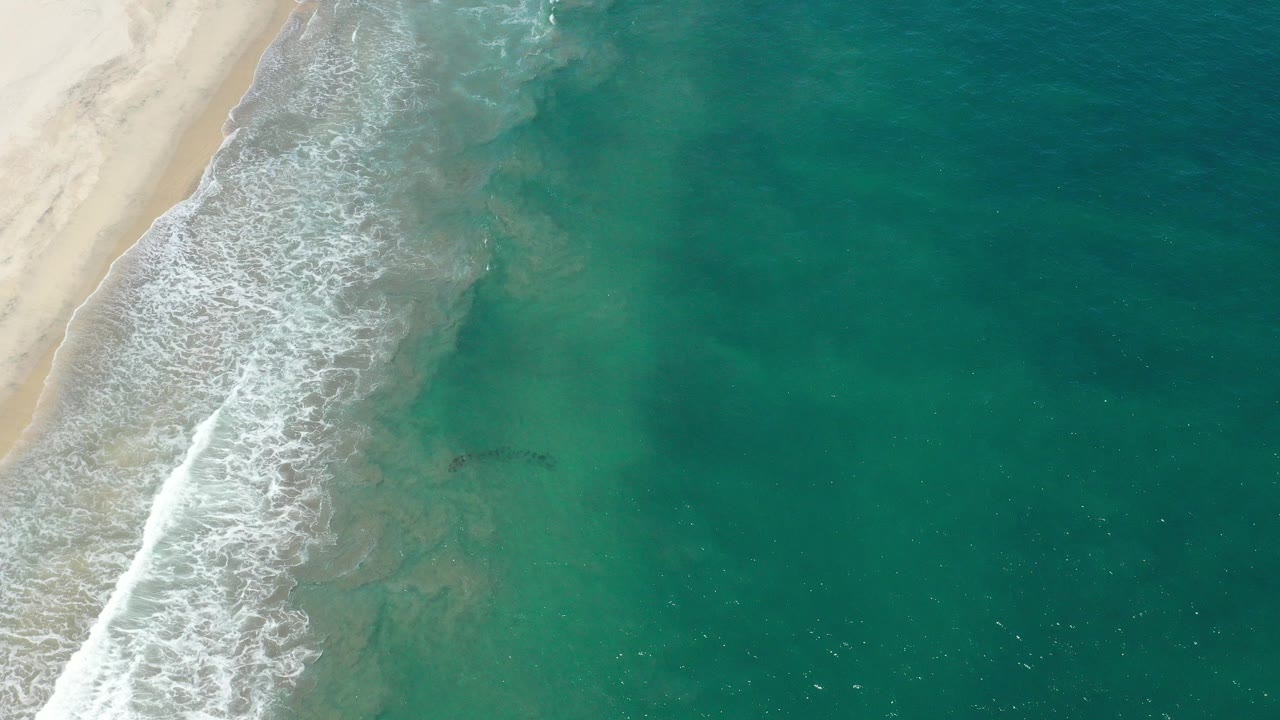 Overhead view of surf meeting a sandy beach beside green-blue ocean.