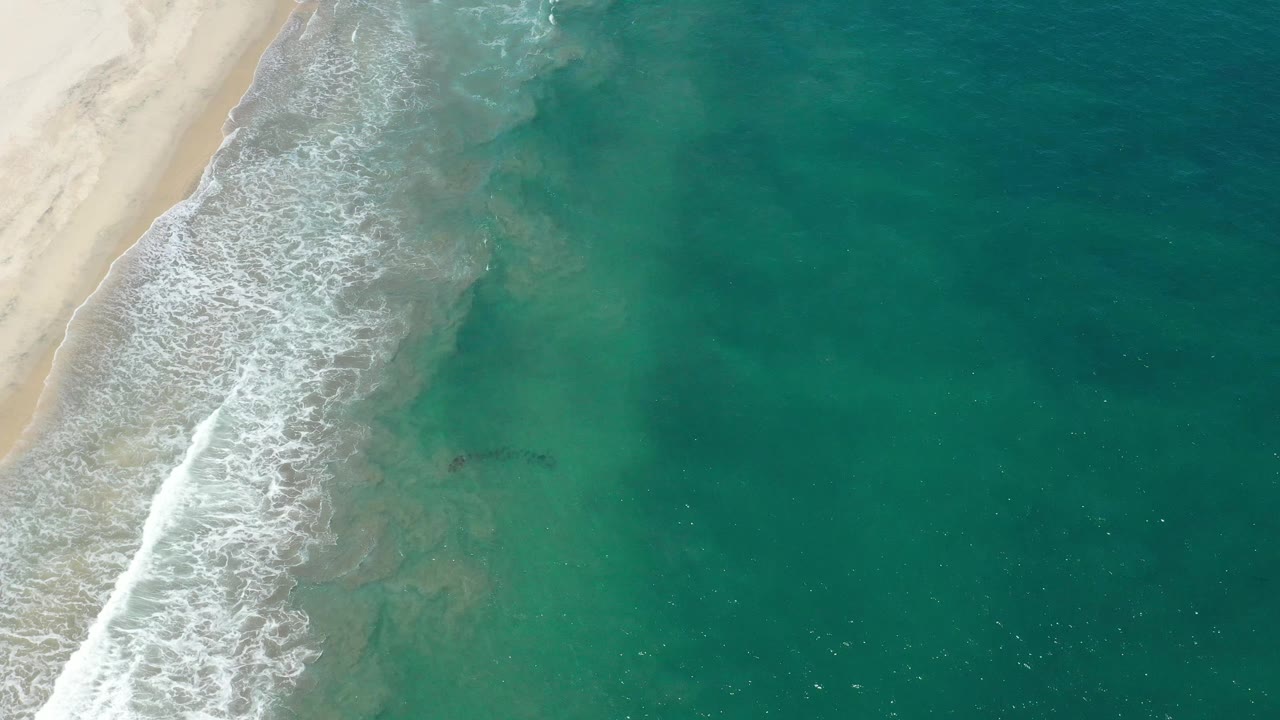 Aerial view over San Jose del Cabo with a brighter band of wave foam curling along the sand and a broad field of green-blue ocean, with no visible people.