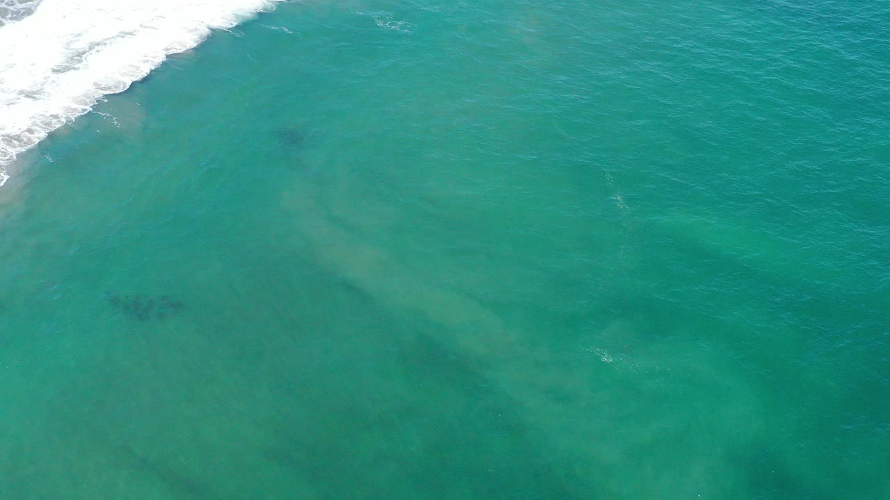 Top-down view of green ocean at San Jose del Cabo with white surf entering from the upper left and two dark fish schools under the water, no visible people.
