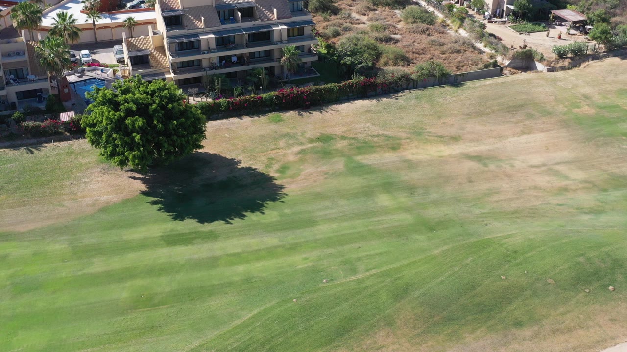 Aerial view of lawn, tree, and buildings