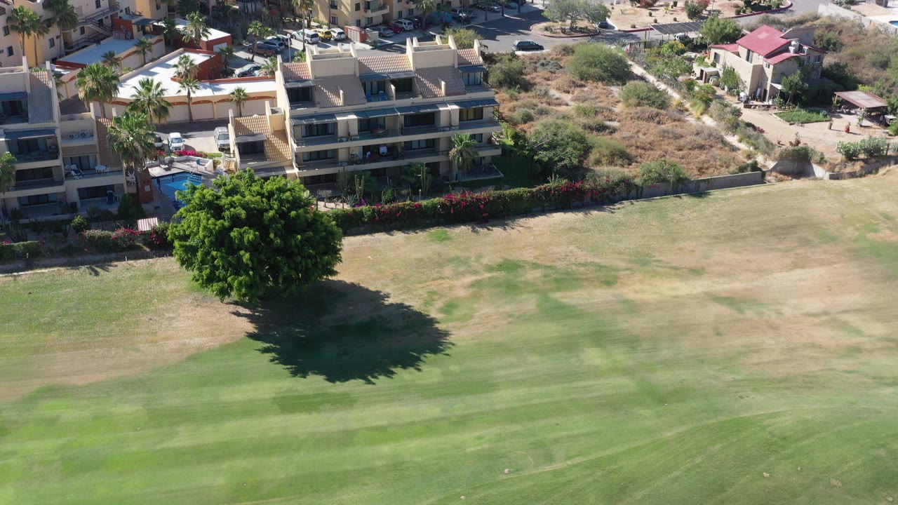 Aerial view of a lawn, large tree, and residential buildings.