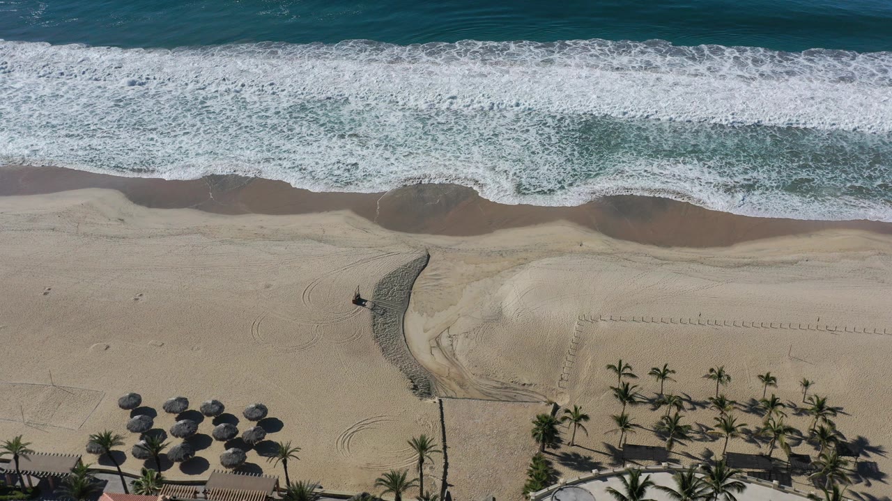 Top-down Los Cabos beach view with white surf at the top, tan sand below, palms and thatched umbrellas along the lower edge, and no visible people.