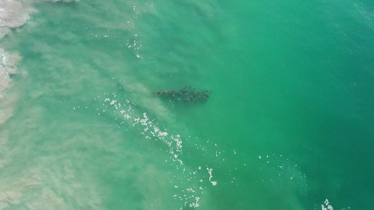 Overhead view in Los Cabos, Mexico showing a dark school of fish beneath turquoise water, white foam streaks, sun sparkle, and no visible people.