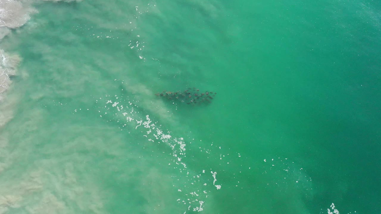 Aerial frame from Los Cabos, Mexico with the fish school still visible near the upper middle, foam flecks below it, and no visible people.