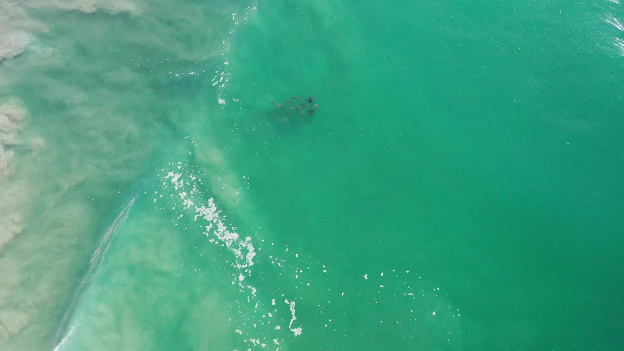 Aerial view of waves beside a pale shoreline edge.