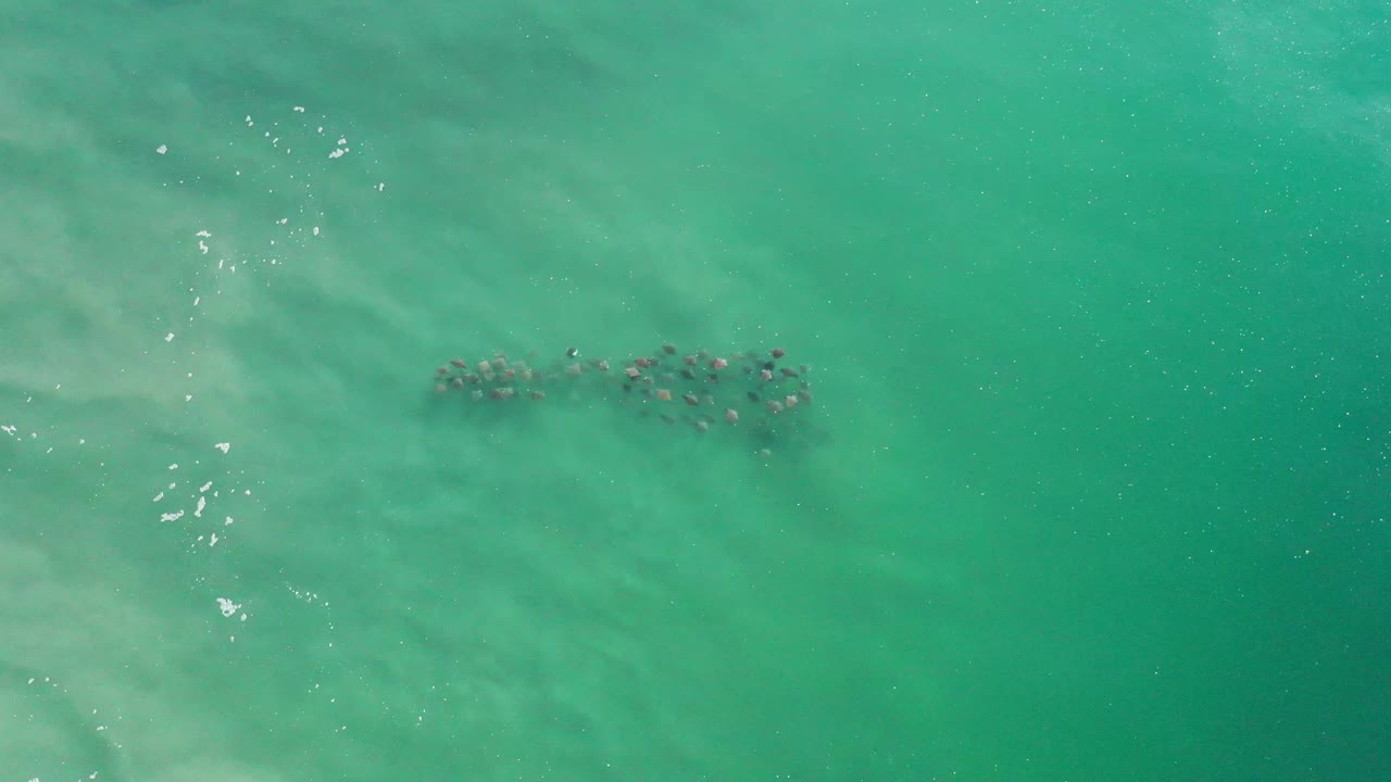 The second frame keeps the Los Cabos ocean group near the upper center, with soft underwater color bands, light ripples, and no visible people.