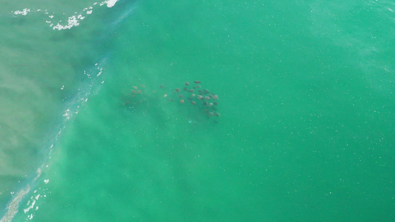Overhead view of green-turquoise ocean water in Los Cabos, Mexico, with pale underwater streaks, small white foam at the upper left, a dark clustered patch near center, and no visible people.