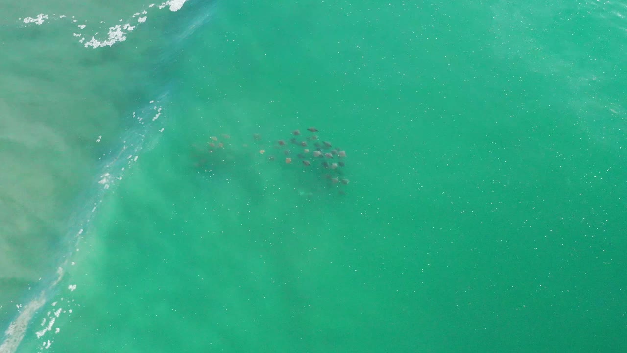Aerial frame over Los Cabos green ocean water, with a thin band of white foam along the left side, cloudy pale sand tones under the surface, a dark clustered shape right of center, and no visible people.