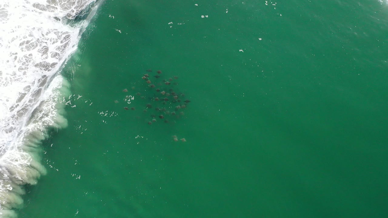 Overhead green ocean with white surf and a dark fish shoal.