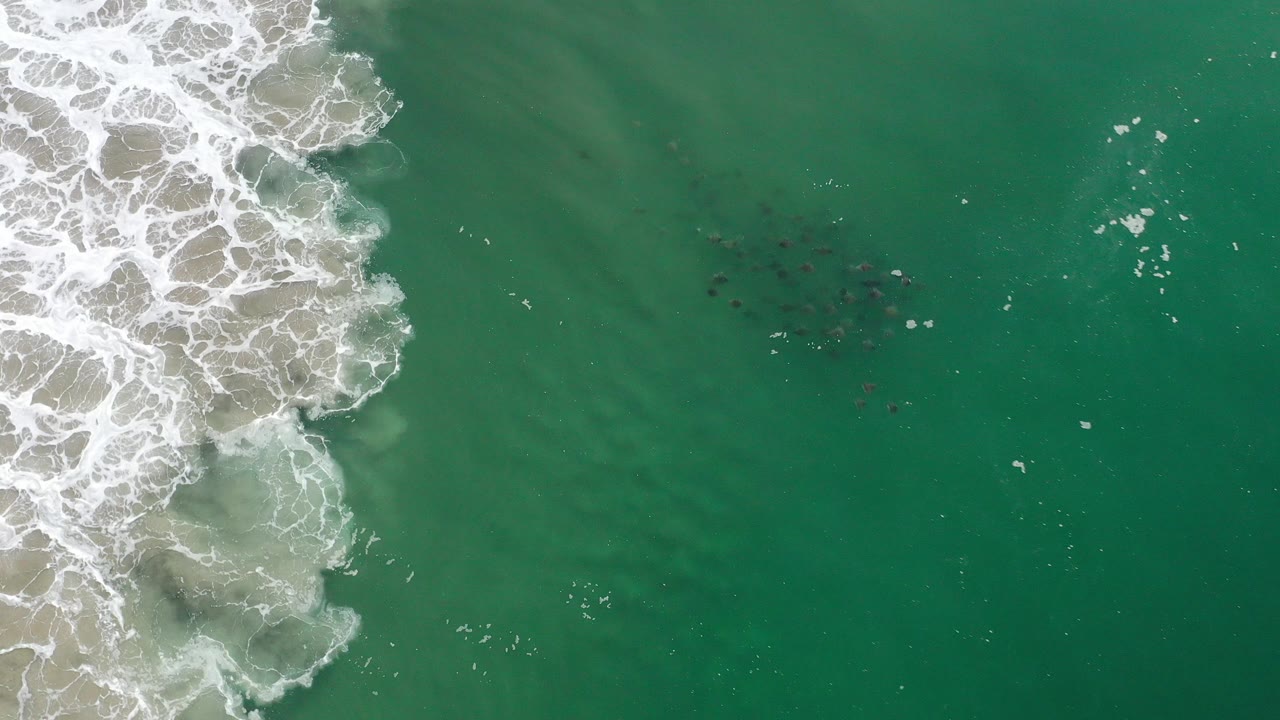 Overhead view in Los Cabos, Mexico, with foamy surf pushing in from the left and green ocean filling the frame, with no visible people.