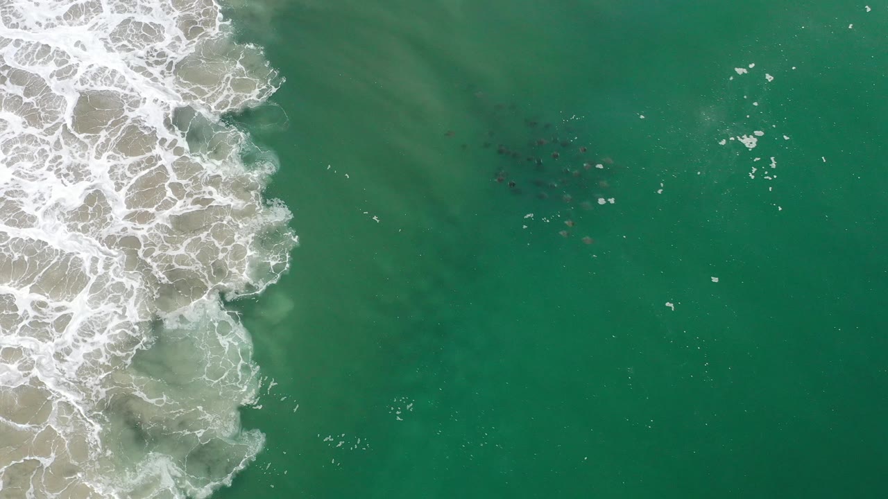 Overhead Los Cabos view with frothy waves at the left margin, smooth green water across the right, scattered foam flecks, and no visible people.