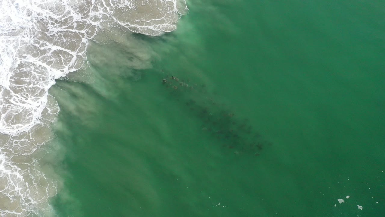 Overhead view in Los Cabos, Mexico, with white surf entering from the upper left and a dark school of fish visible in green water, no visible people.