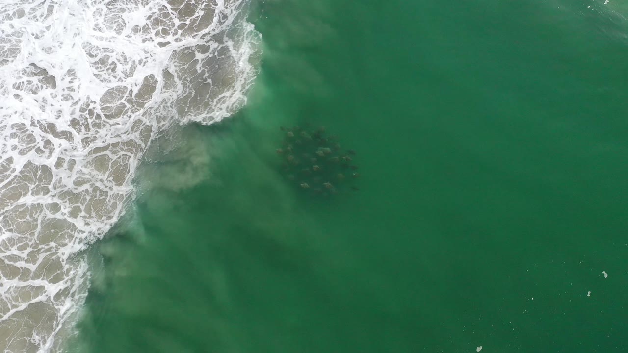 Surf line and open green ocean