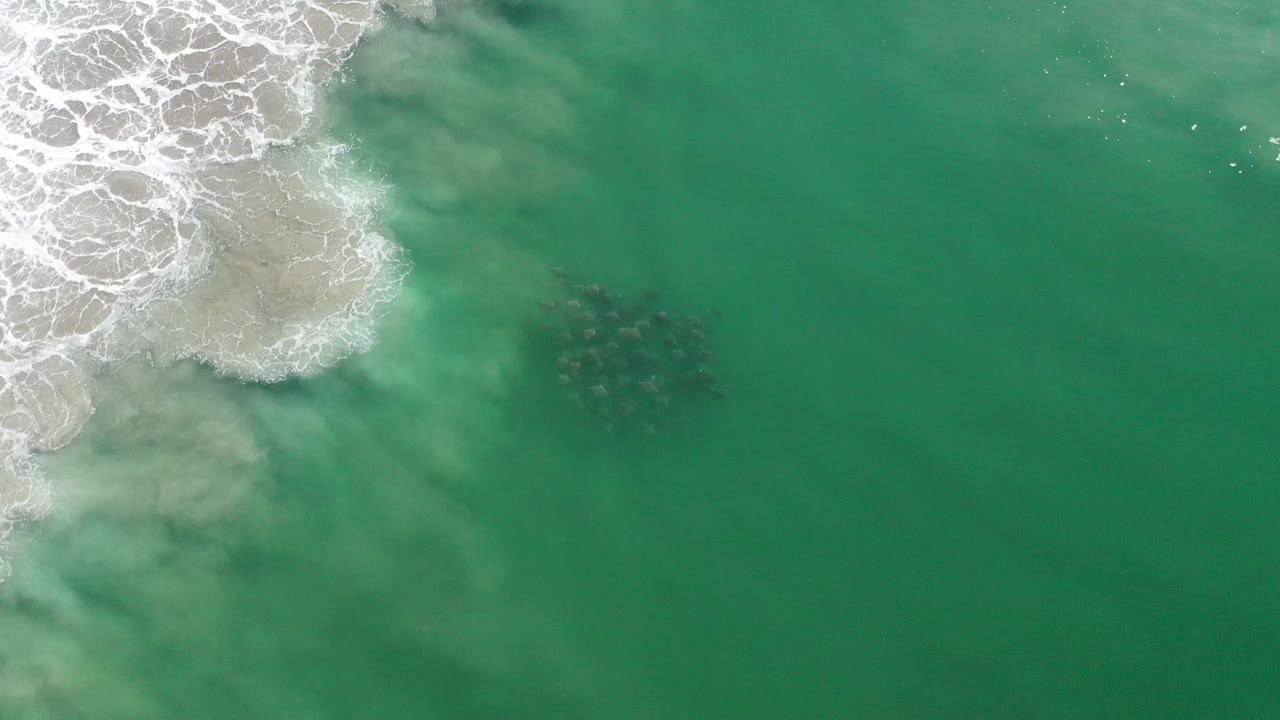 White surf and sandy shallows beside green water and a dark rock cluster.