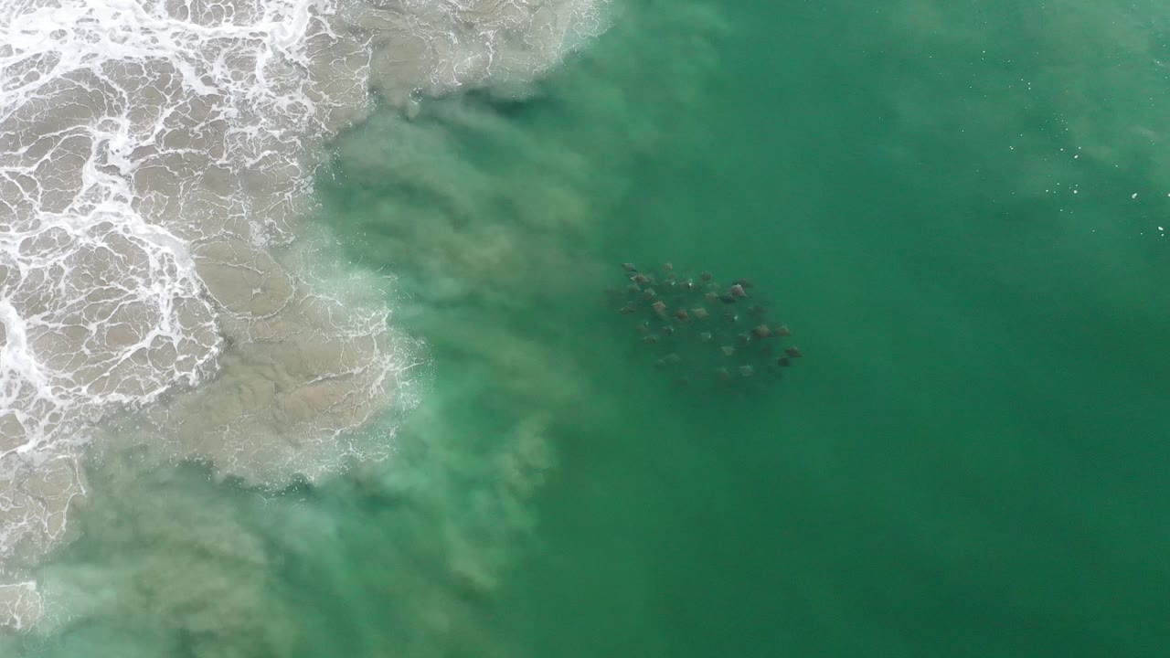 Small dolphin school in open green water near whitewater.