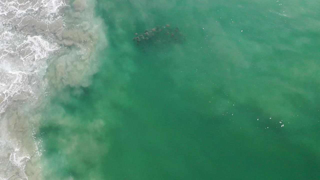 Top-down Los Cabos ocean frame with foamy water along the left edge, cloudy shallow water below it, and the fish cluster slightly above center, no visible people.