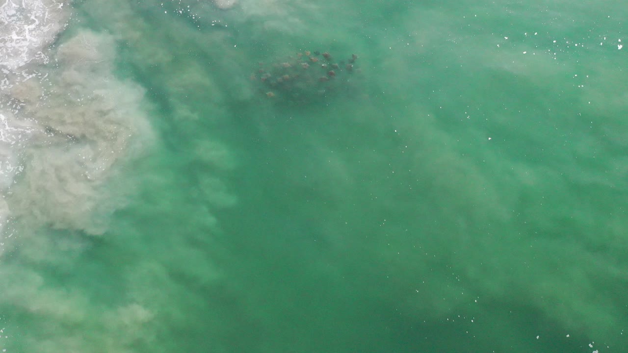 Overhead view of green seawater in Los Cabos, Mexico, with pale foam along the left edge, a small fish group near the upper center, and no visible people.