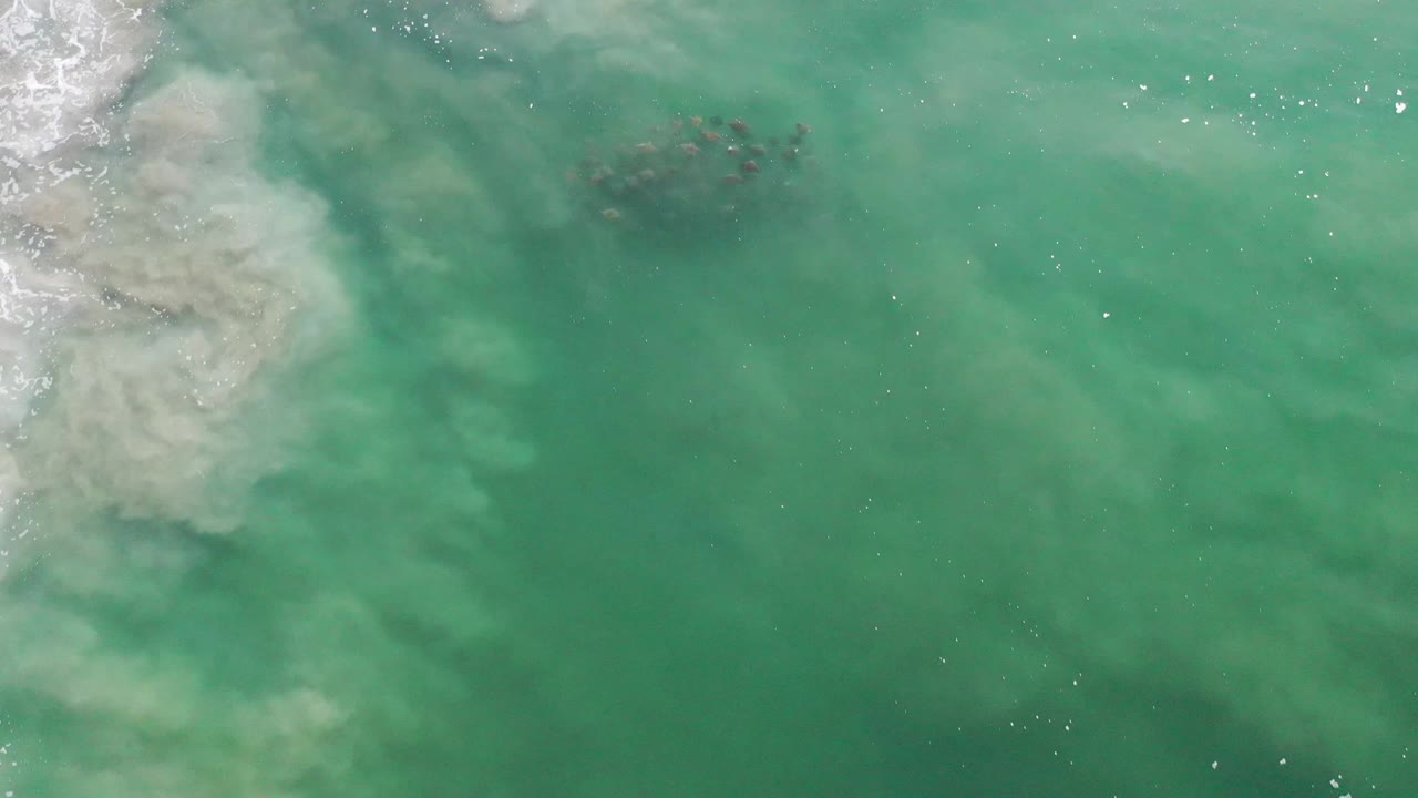 In Los Cabos, Mexico, the fish cluster sits slightly right of the pale surf band in green water, with scattered sunlight glints and no visible people.