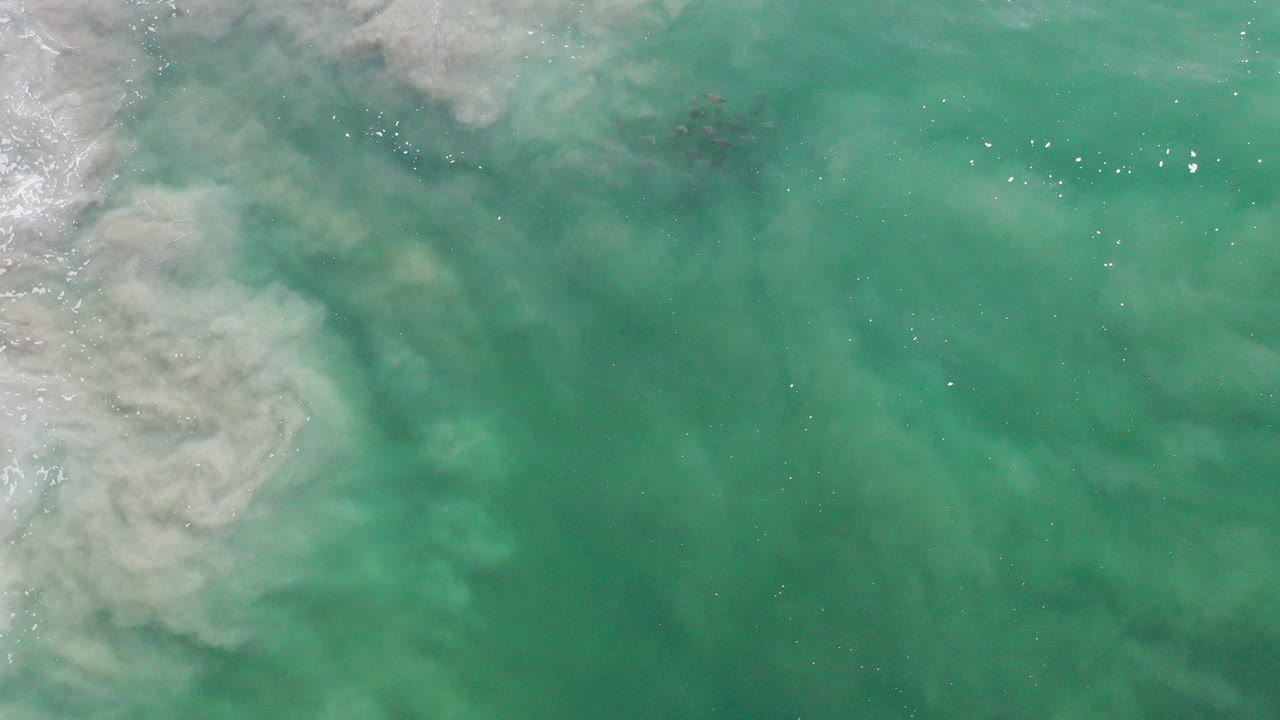 Overhead view of green water and milky surf mixing near Los Cabos, Mexico, with bright flecks on the surface and no visible people.