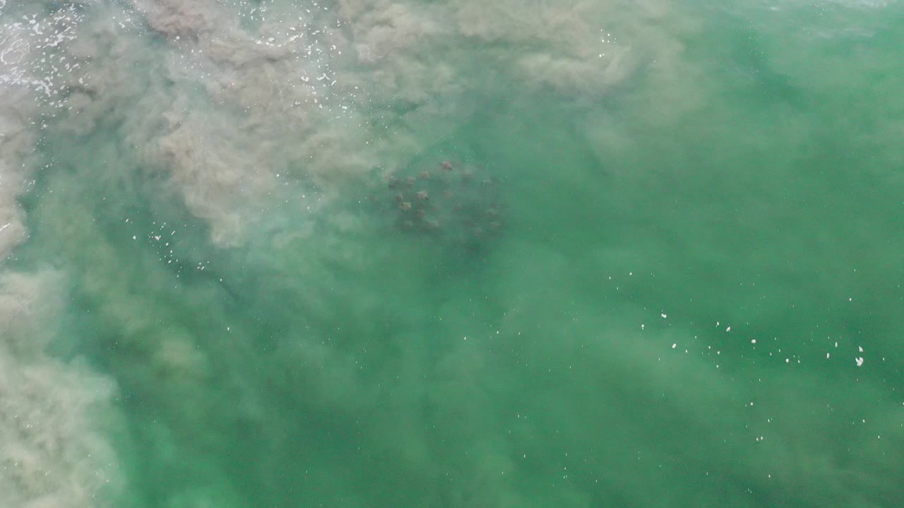 Overhead view of green ocean water in Los Cabos, Mexico, with pale cloudy water spreading from the upper left and no visible people.