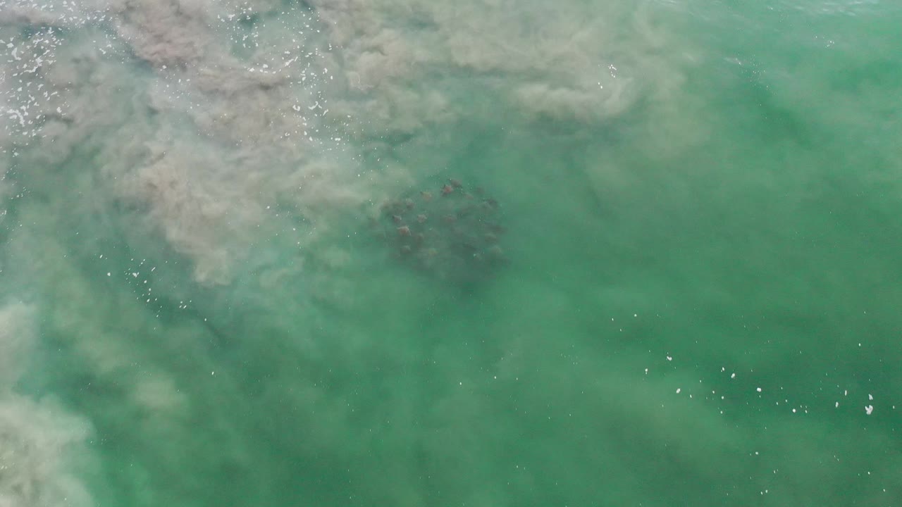 Top-down green ocean surface with cloudy water at the upper left.