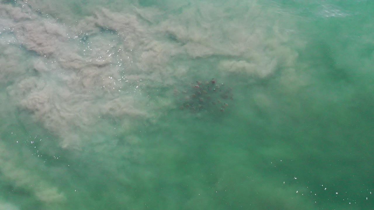 Opening overhead view of turquoise-green water in Los Cabos, Mexico, with pale wave wash at upper left, small dark fish shapes below the surface, and no visible people.
