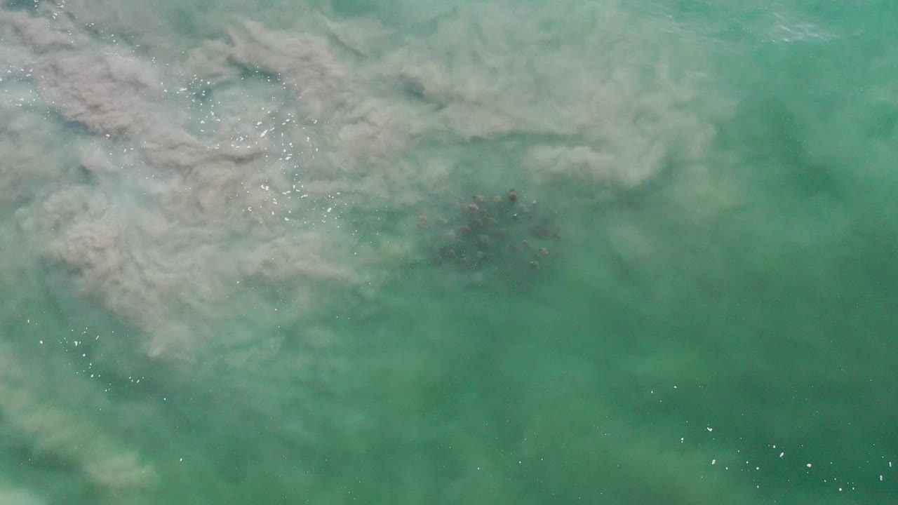 Top-down Los Cabos water view with a larger milky wave band across the upper left, scattered bright reflections, faint fish below center, and no visible people.