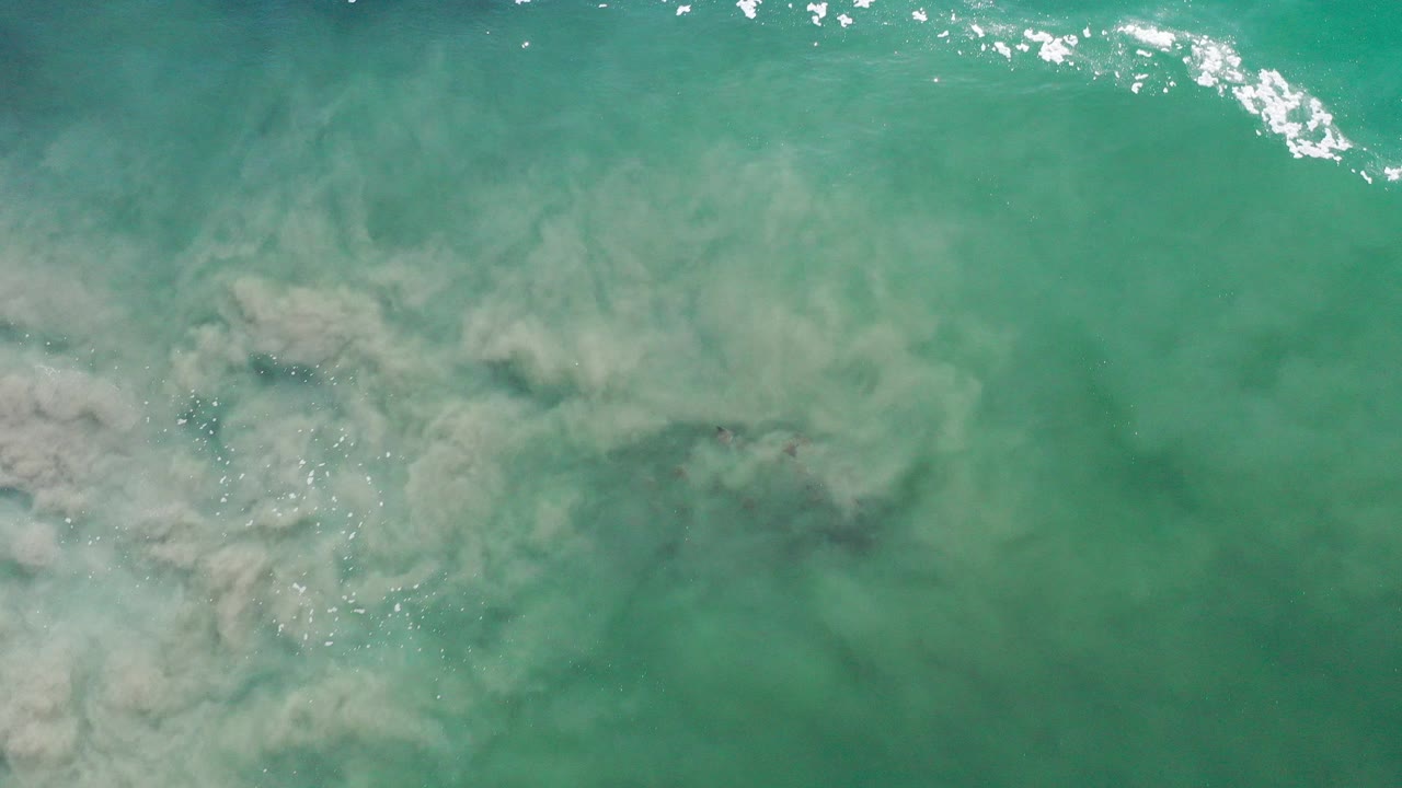 Overhead view of green-tinted water in Los Cabos, Mexico, with pale sediment spreading under the surface, bright highlights near the upper edge, and no visible people.