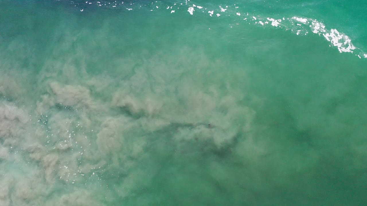 Green coastal water with suspended dirt and bright surface sparkle