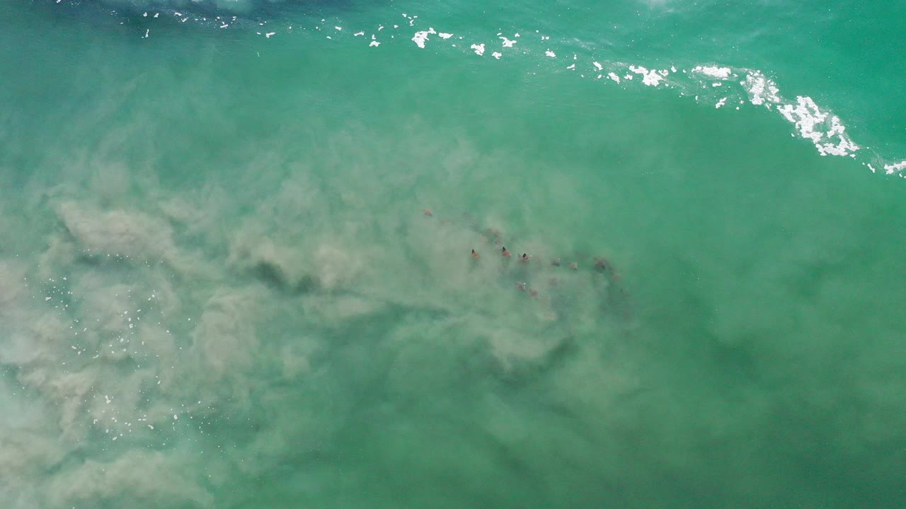 Overhead view of green turquoise water in Los Cabos, Mexico, with pale cloudy surf texture at left, bright wave flecks near the top, and no visible people.