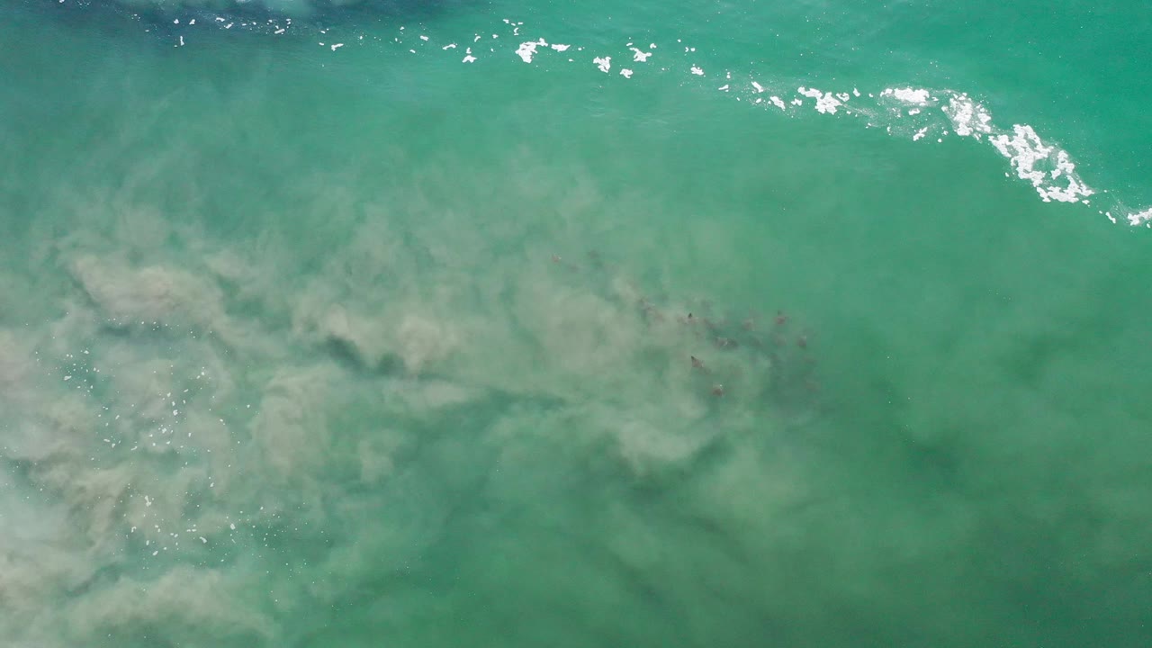 Green ocean surface with bright foam near the top and hazy pale water below.
