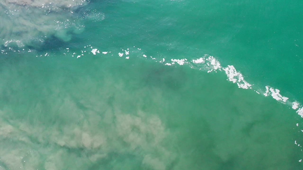 Green ocean surface with thin foam line and bright highlights.