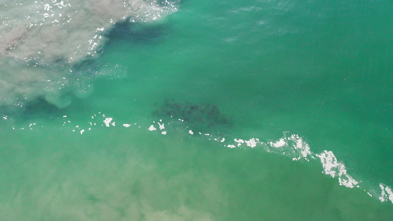 Overhead turquoise water with gray seafoam and a dark submerged plant patch.