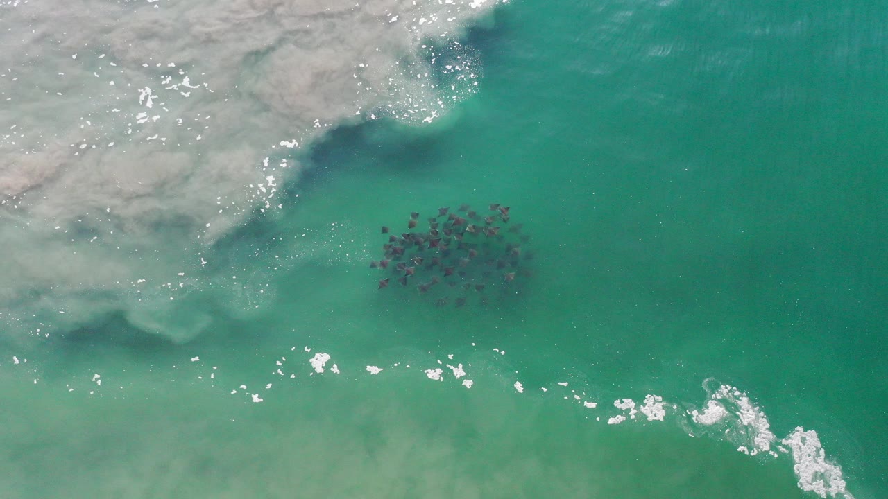 Overhead view of blue-green ocean near Los Cabos, Mexico, with pale foam at the upper left, sun glints on the water, a dark clustered group below the surface, and no visible people.