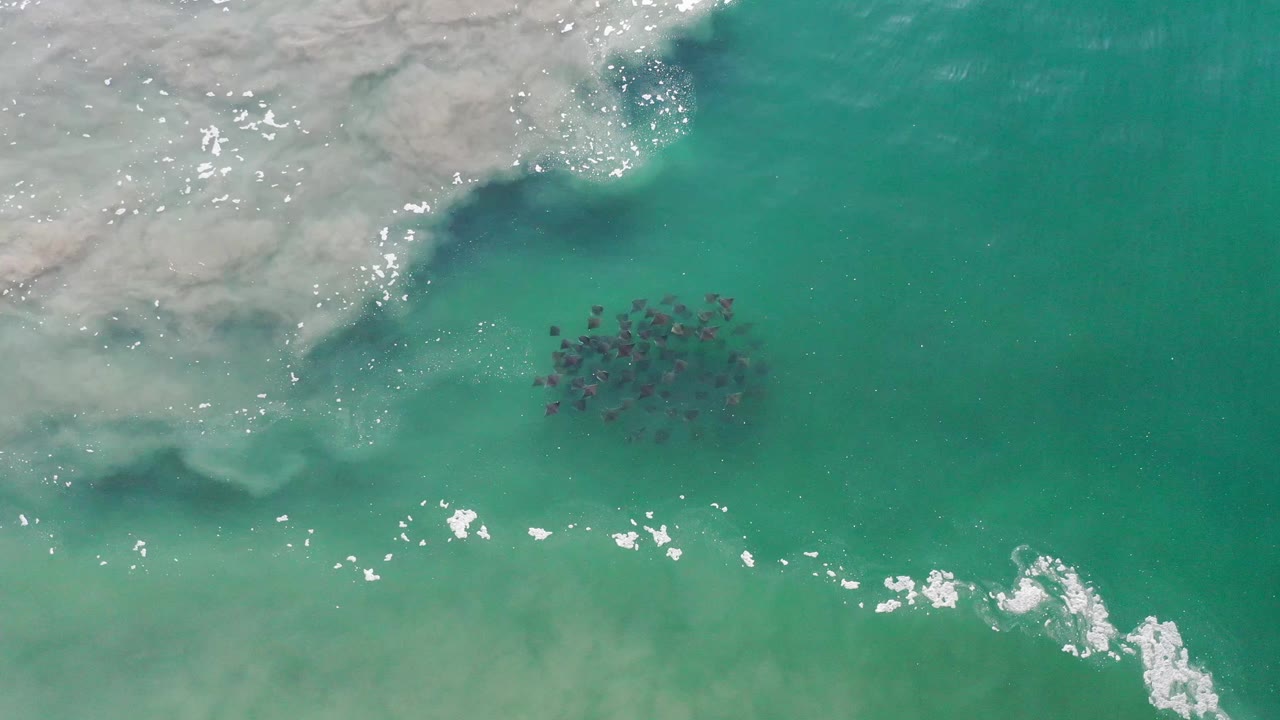 Aerial frame over Los Cabos water with the foamy shoreline texture across the upper left, bright reflections near the lower edge, a dark fish-like cluster near center, and no visible people.
