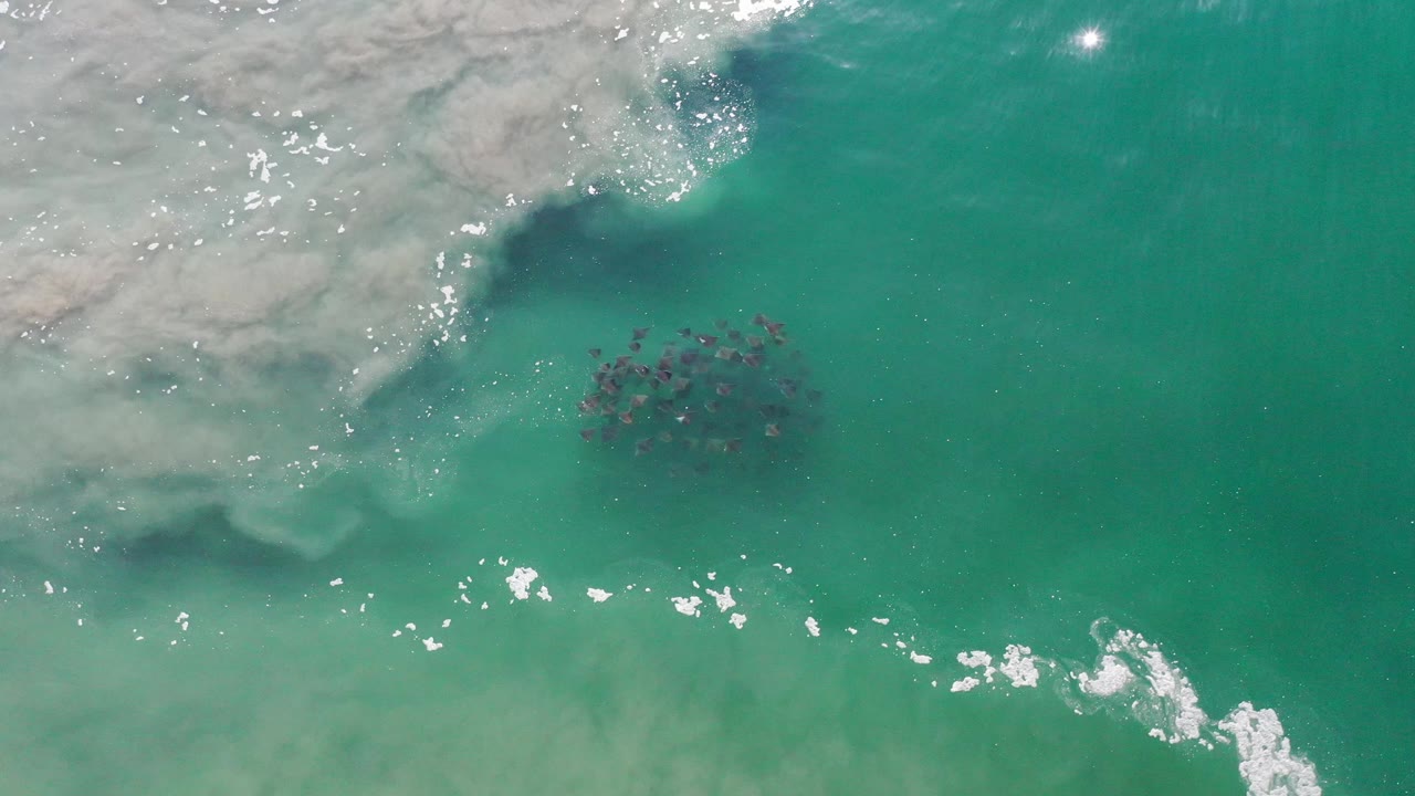 Turquoise sea seen from above with foam and submerged dark cluster.