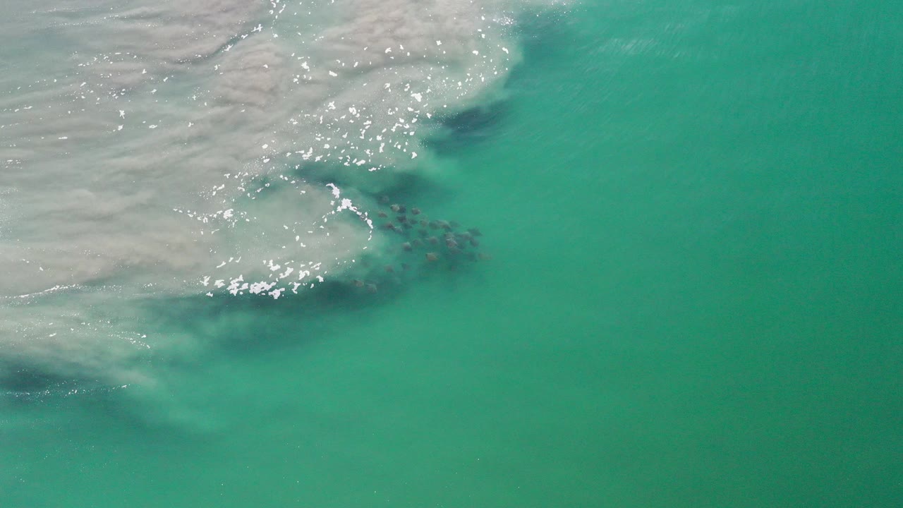 At the start of the Los Cabos clip, a dark school of fish sits under pale breaking water beside clear turquoise shallows, with no visible people.