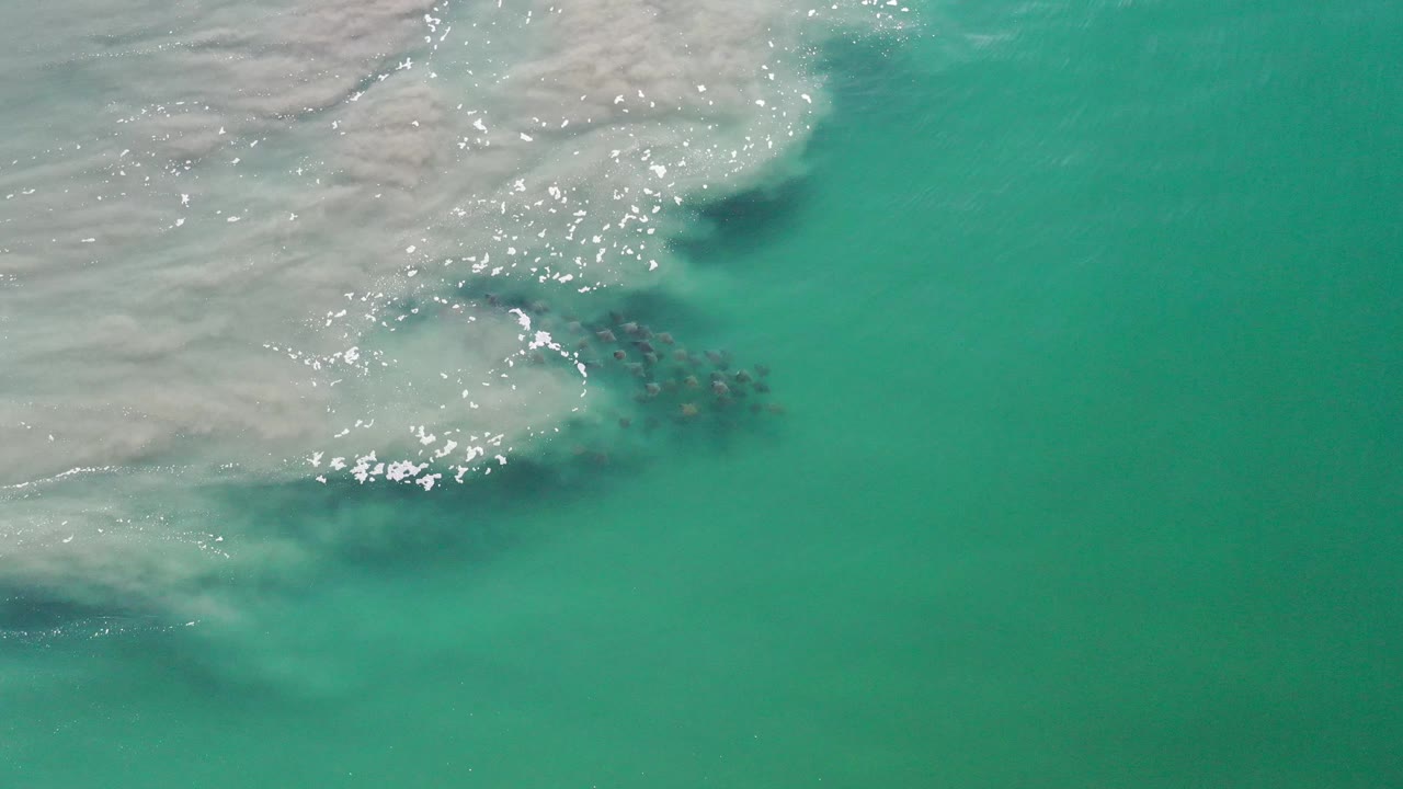 Fish school fading under cloudy surf water