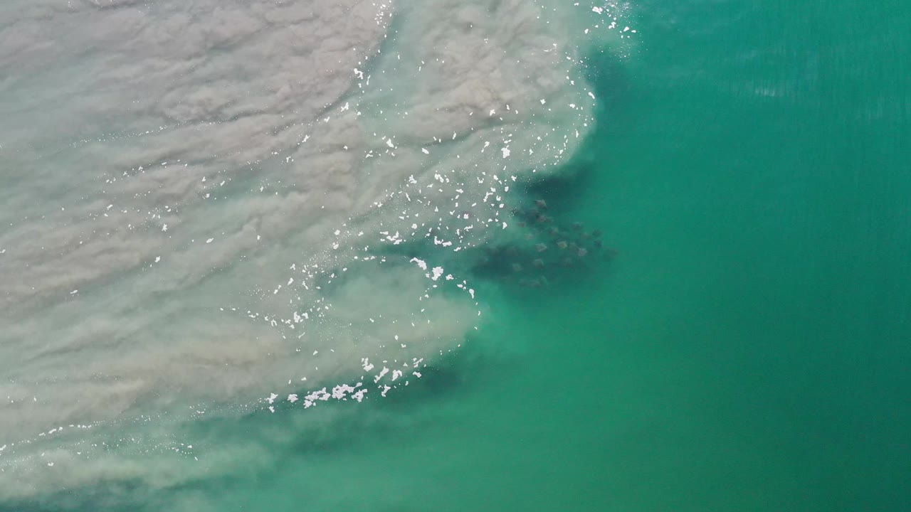 Aerial frame over Los Cabos water showing foamy shallow surf at left, clearer teal ocean at right, and clustered dark animal forms below the surface, no visible people.