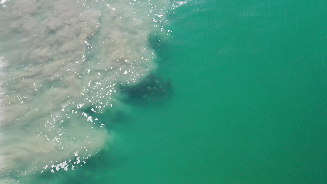 Teal ocean water with foamy surf and a dark marine animal group below the surface.