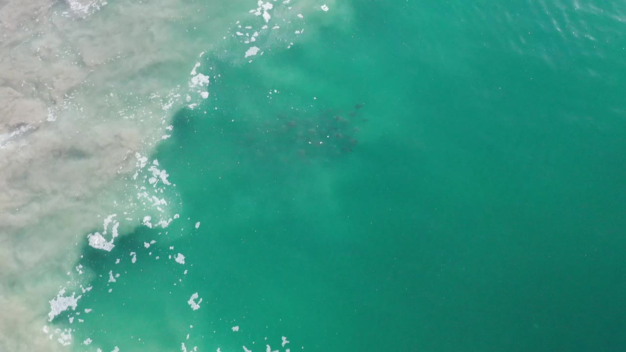 Top-down Los Cabos shoreline frame with foam fragments running diagonally between pale sand and green water, with no visible people.