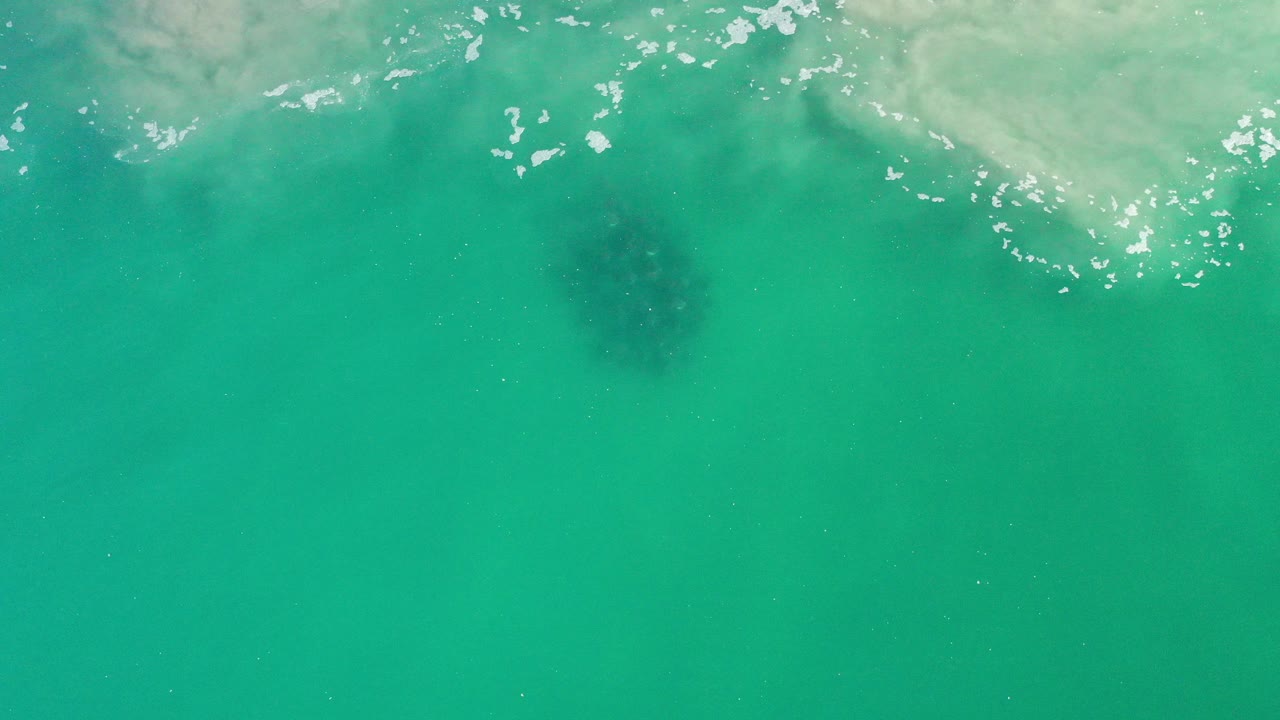 Turquoise ocean with white foam and a dark submerged animal shape.
