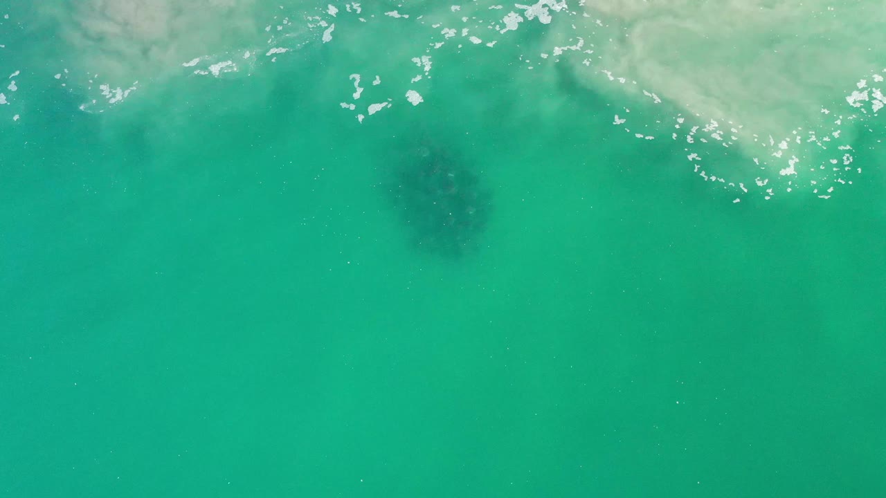 Aerial frame over Los Cabos water showing a dark submerged marine-animal-sized shape slightly below center, with pale foam across the upper edge and no visible people.